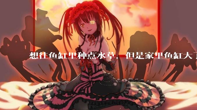 想往鱼缸里种点水草，但是家里鱼缸大了买水草泥或者底砂太贵了，有没有生活中可以替代的物品或其他建议？