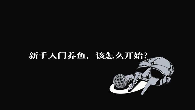 新手入门养鱼，该怎么开始？