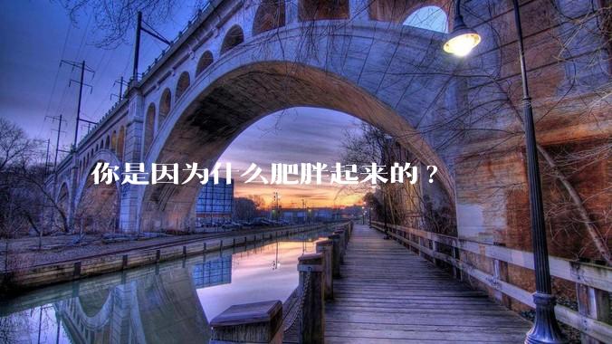 你是因为什么肥胖起来的?