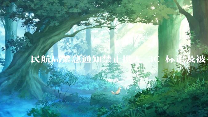 民航局紧急通知禁止携无 3C 标识及被召回的充电宝乘境内航班，无 3C 标识充电宝有哪些安全隐患？