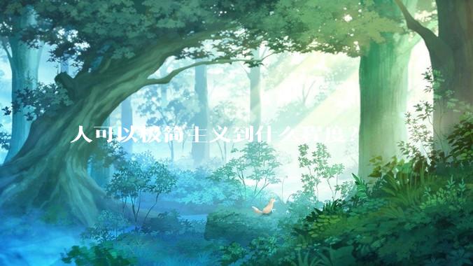 人可以极简主义到什么程度？