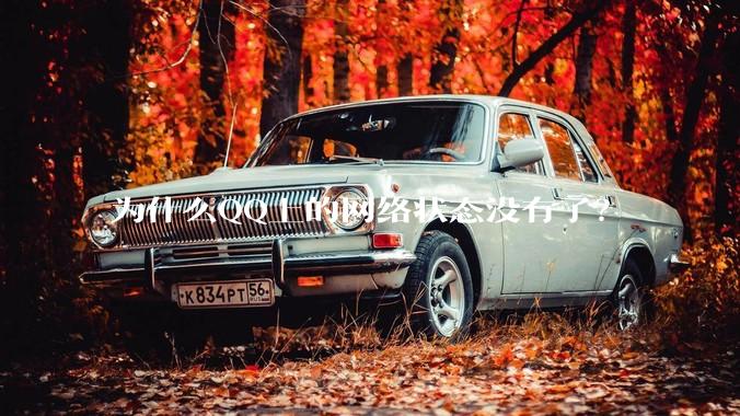 为什么QQ上的网络状态没有了？