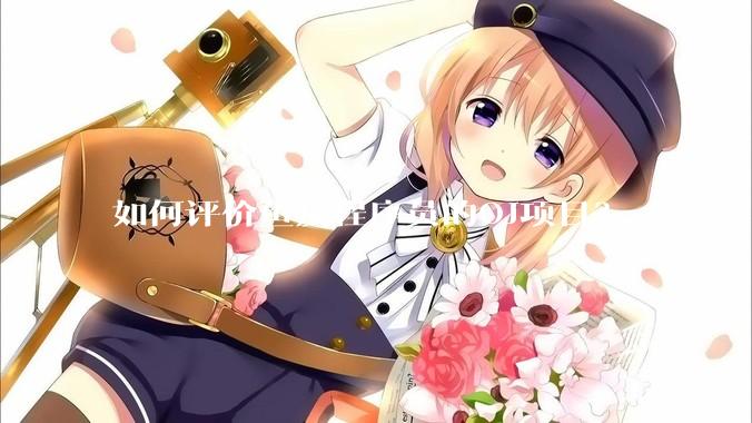 如何评价鱼皮程序员的OJ项目？