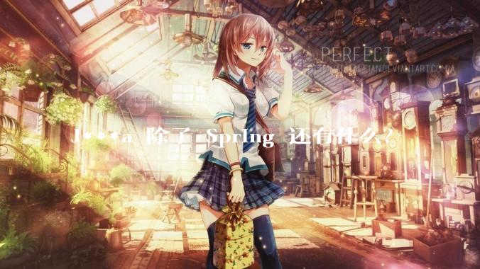 J***a 除了 Spring 还有什么？