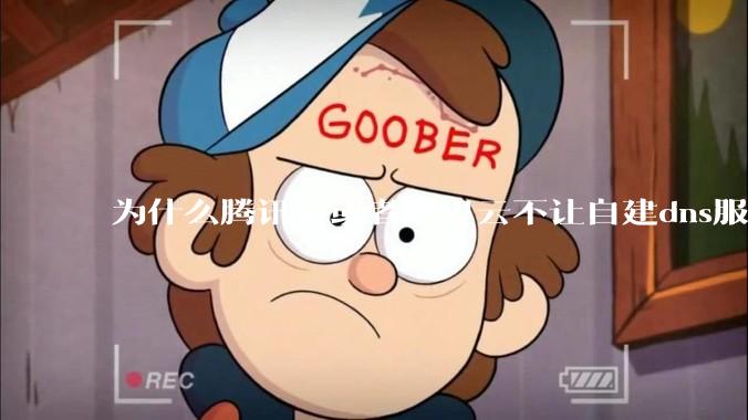 为什么腾讯云或者阿里云不让自建dns服务器?