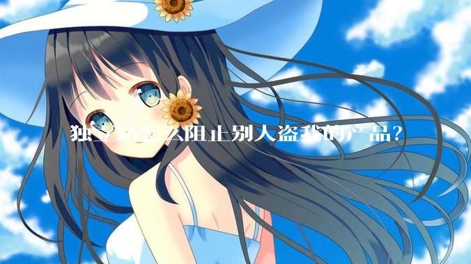 独立站怎么阻止别人盗我的产品？
