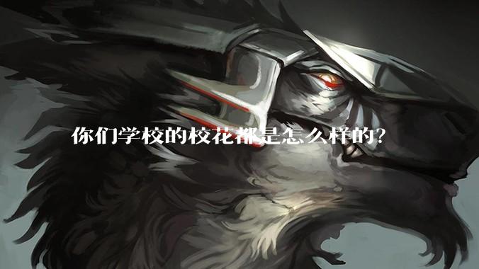 你们学校的校花都是怎么样的？