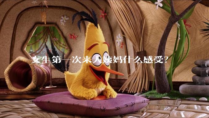 女生第一次来大姨妈什么感受？